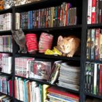 Lucheni and Link in the bookshelf