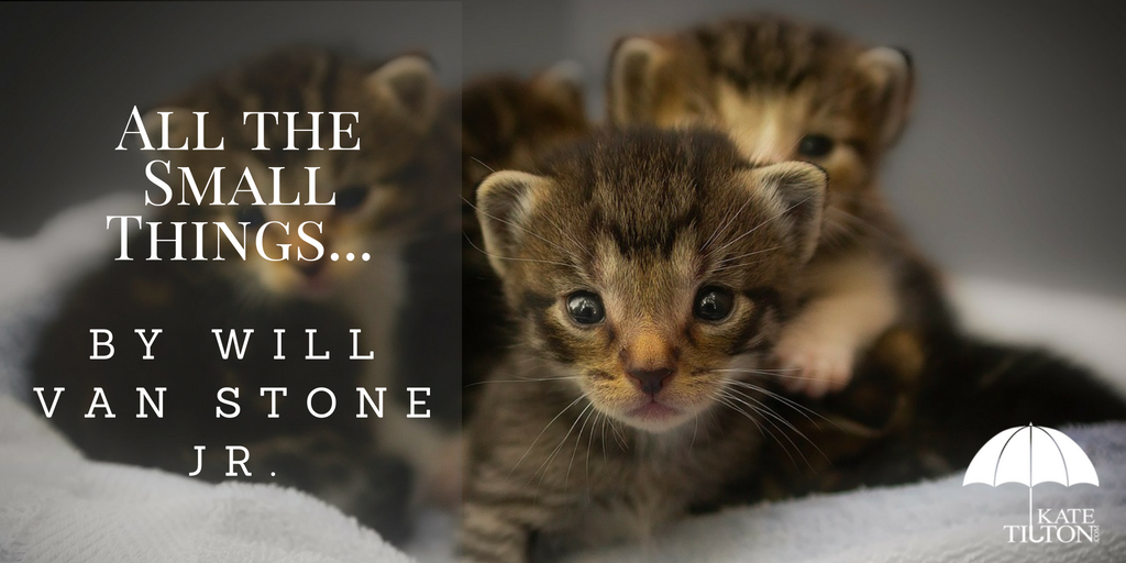 All the Small Things... by Will Van Stone Jr. - katetilton.com