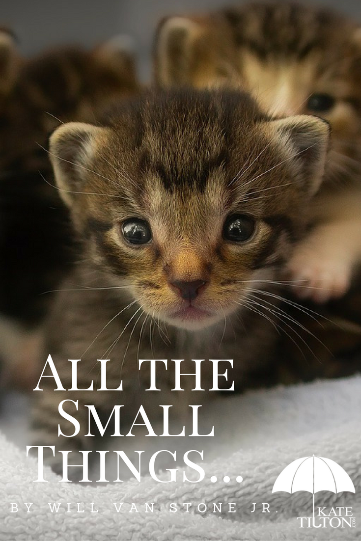 All the Small Things... by Will Van Stone Jr. - katetilton.com